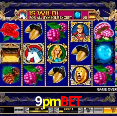 9pmbet Rio de Janeiro - Bonus Terms